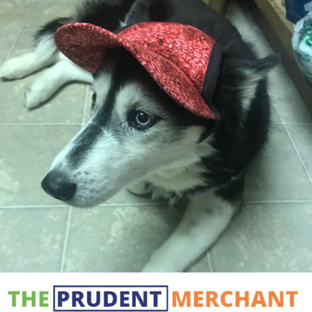 K-9 Kool Hat for Dogs | Breathable Sun Protection Cap | Adjustable Ear Holes